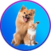 Heppbi Pet